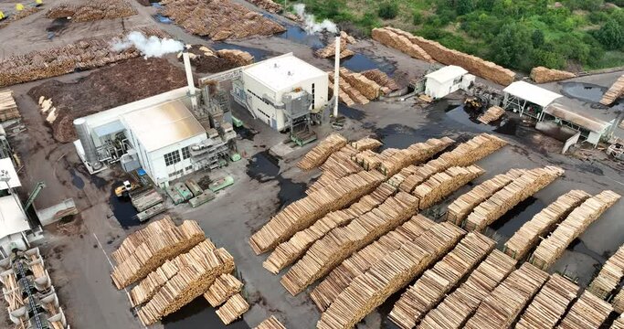 Sawmill Aerial View. Chopped Pine Tree Wood Logs Stacks in a Row with Heavy Machinery. Timber in Sawmill Top View. 