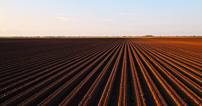 Fertile arable agricultural industrial farm field