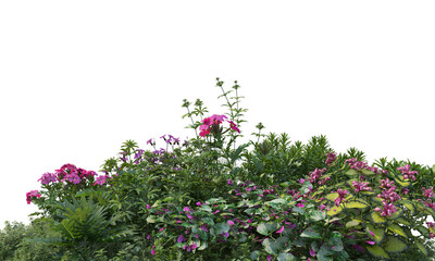 Fototapeta na wymiar Flower garden on transparent background