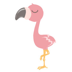 Close Eye - Flamingo