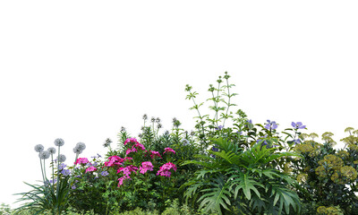 Flower garden on transparent background