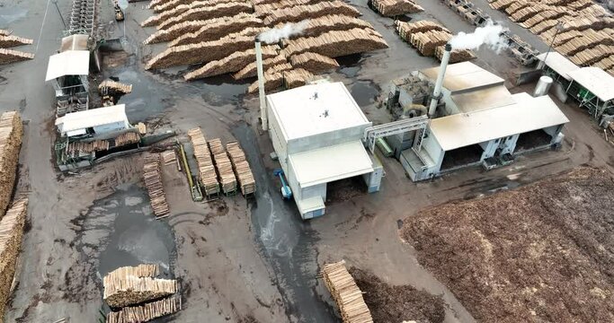 Sawmill Aerial View. Chopped Pine Tree Wood Logs Stacks in a Row with Heavy Machinery. Timber in Sawmill Top View. 