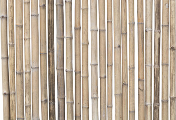 bamboo wall in transparent background.