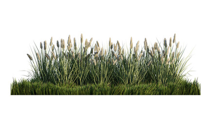 A 3d rendering image of a lot of grass flower on green grass field