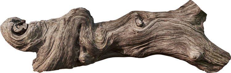 Tree trunk, branch tree dry cracked dark bark transparent - 522433810