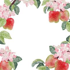 watercolor apple flower and fruit frame