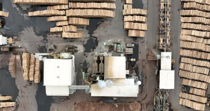 Sawmill Aerial View. Chopped Pine Tree Wood Logs Stacks in a Row with Heavy Machinery. Timber in Sawmill Top View. 
