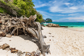 Beautiful beach on the tropical sea at Phuket Province, Thailand.