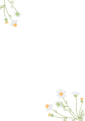 white chamomile  wedding invitation frame