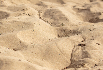 Sand by the sea as an abstract background.