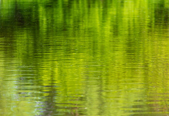 The green expanse of water on the reservoir as an abstract background.