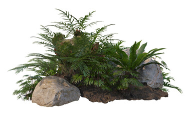 Tropical plant garden on a transparent background © jomphon