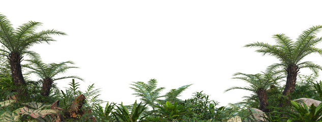 Tropical plant garden on a transparent background