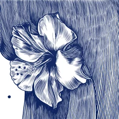 Fotobehang Tropical flower in woman's hair close-up. Drawing in engraving style. © Elena