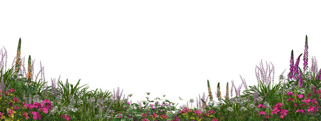 Flower garden and grass on a transparent background