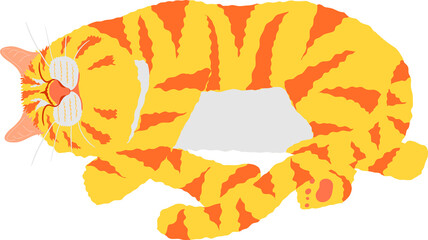 the lovely yellow and orange striped cat lie on stomach and sleeping