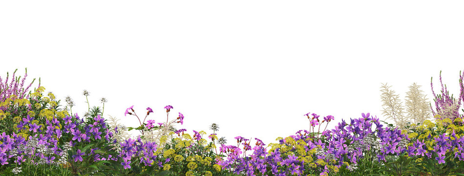 Fototapeta Flower garden and grass on a transparent background