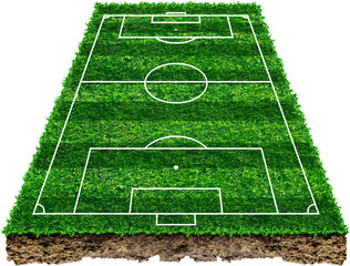 Soccer field area and isolated. Green grass of soccer field with pattern and texture in perspective...