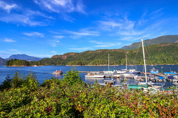 Powell River, BC - the view on the harbor with white sail boats surrounded by lush nature. 