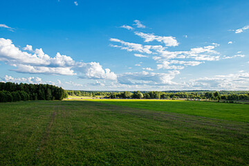 landscape view, green field and blue sky with white clouds