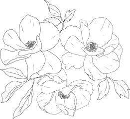 doodle line art peony flower bouquet elements