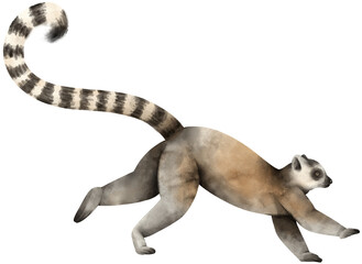Lemur wildlife animal Watercolor © b.illustrations