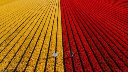 Para w polu tulipanów