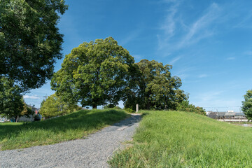 京都・平安京・西寺跡