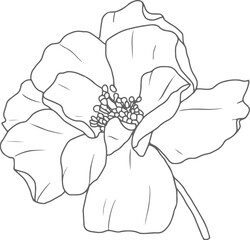 doodle line art rose flower bouquet elements