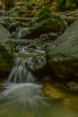 stream in the forest