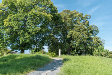 京都・平安京・西寺跡