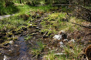 A mountain stream in a picturesque mountainous location, close-up. Water sources.