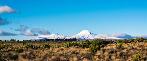 Snow blanketed volcanic cone of Mount Ngauruhoe rising over valley on a beautiful winter day....