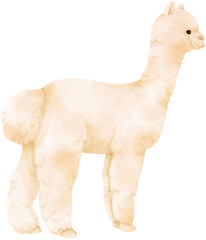 White Alpaca watercolor farm animals
