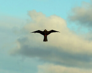 Eagle kites. A device for scaring away birds, a hanging kite in the form of an eagle.