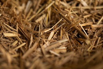 Hay that animals can eat