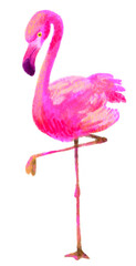 Colorfuk pink and yellow Flamingo bird illustration painting Summer beach abstract animal
