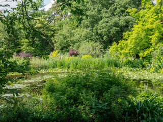 Fototapeta na wymiar jardins de Bagatelle dans le Bois de Boulogne à Paris