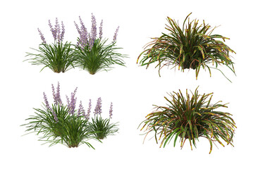 Flowers on a transparent background