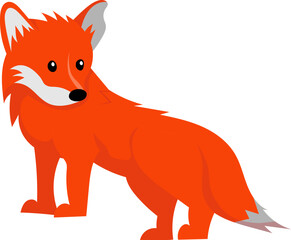 funny orange baby fox isolated on white background, cute vector illustration for children and kids