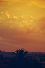 Fototapeta premium Atardecer en la playa