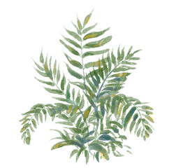 Fototapeta premium Green lush small palm leaves watercolor hand painting illustration