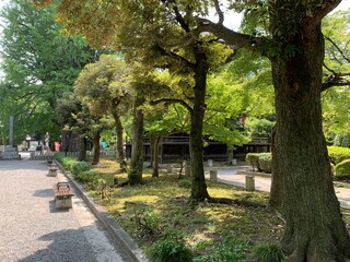 鑁阿寺の境内