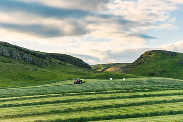 Farmer driving tractor harvesting grass in farmland on summer