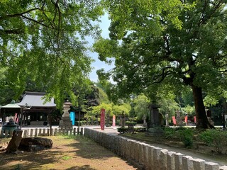 鑁阿寺の境内