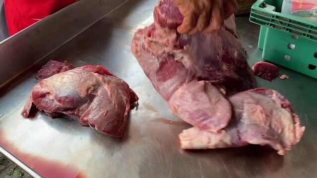 A local cow in a farming house in the age to be prepared for Eid El Adh. When they reached their standard age, they are going to be sent to the butcher