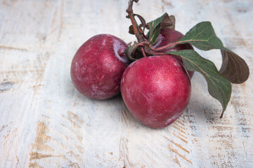 Branch of delicious red plums on a wooden background