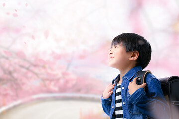 メインビジュアルにも！桜背景のランドセル男児
