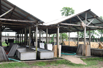 a factory of natural raw rubber for processing