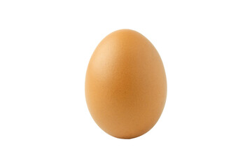 Chicken egg